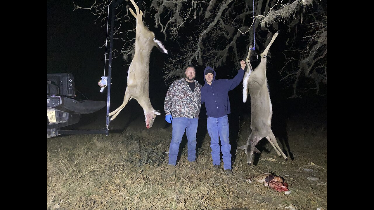 Punch Clock Deer