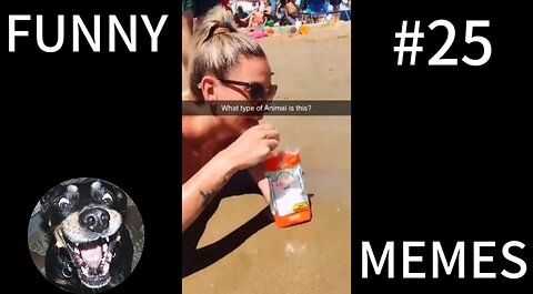 Weird animal found ... | FUNNY MEMES #25