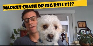 Stock Market Crash? or BIG Rally? - Passive income either way.