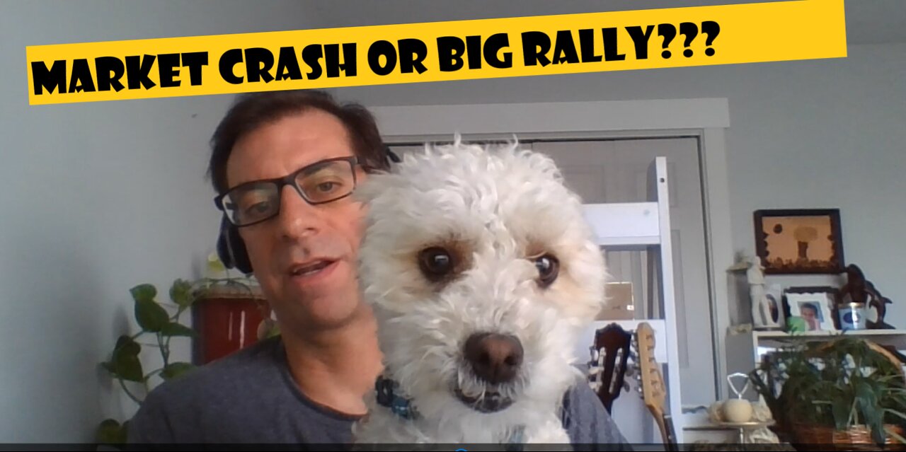 Stock Market Crash? or BIG Rally? - Passive income either way.