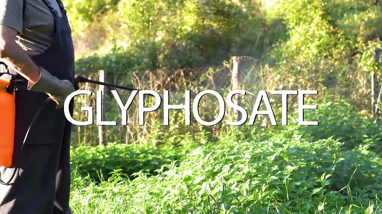 How harmful is Glyphosate/Round up to People and Animals | The Solution