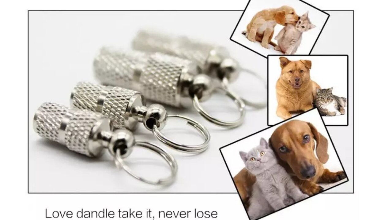 Dog Plate, tag, sign, collar, handle, cat,never miss your pet again