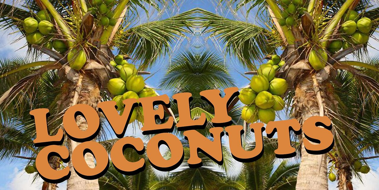 Lovely Coconuts