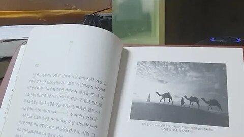 세계를 읽다, 인도, 시탄잘리 콜라나드, 어머니, 바스코다가마, 알렉산더 대왕, 자이나교, 공항, 뭄바이