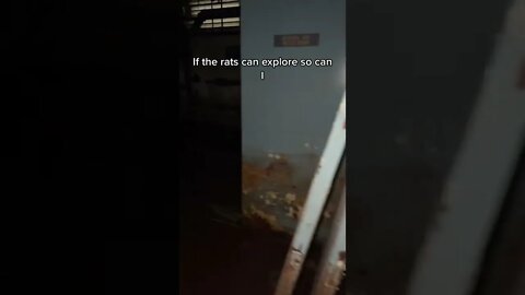 If the rats can explore so can I