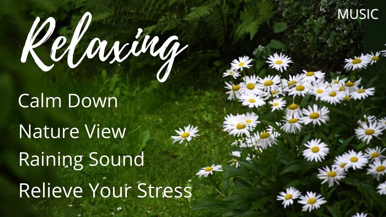 Relaxing Music With Raining Sound - Nature View Relieve Your Stress / Calm Down