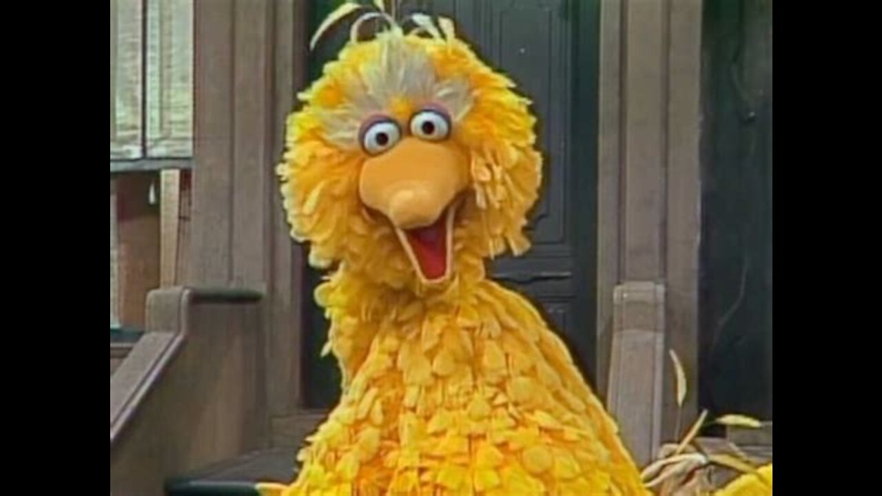 Big Bird Comes For The Children.