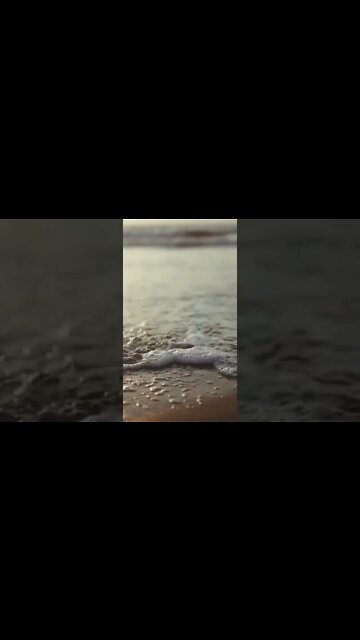 Deep House Music 2022 THE BEST OF VOCAL #shorts #music #office #relax