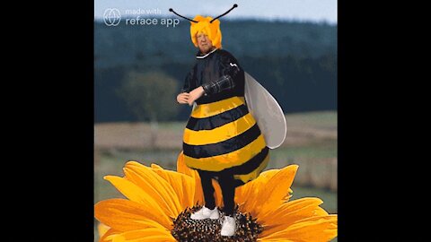 The Ultimate Donald Trump Bee Meme! 🐝