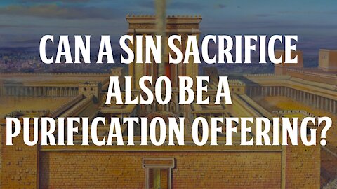 Can a Sin Sacrifice be a Purification Offering?