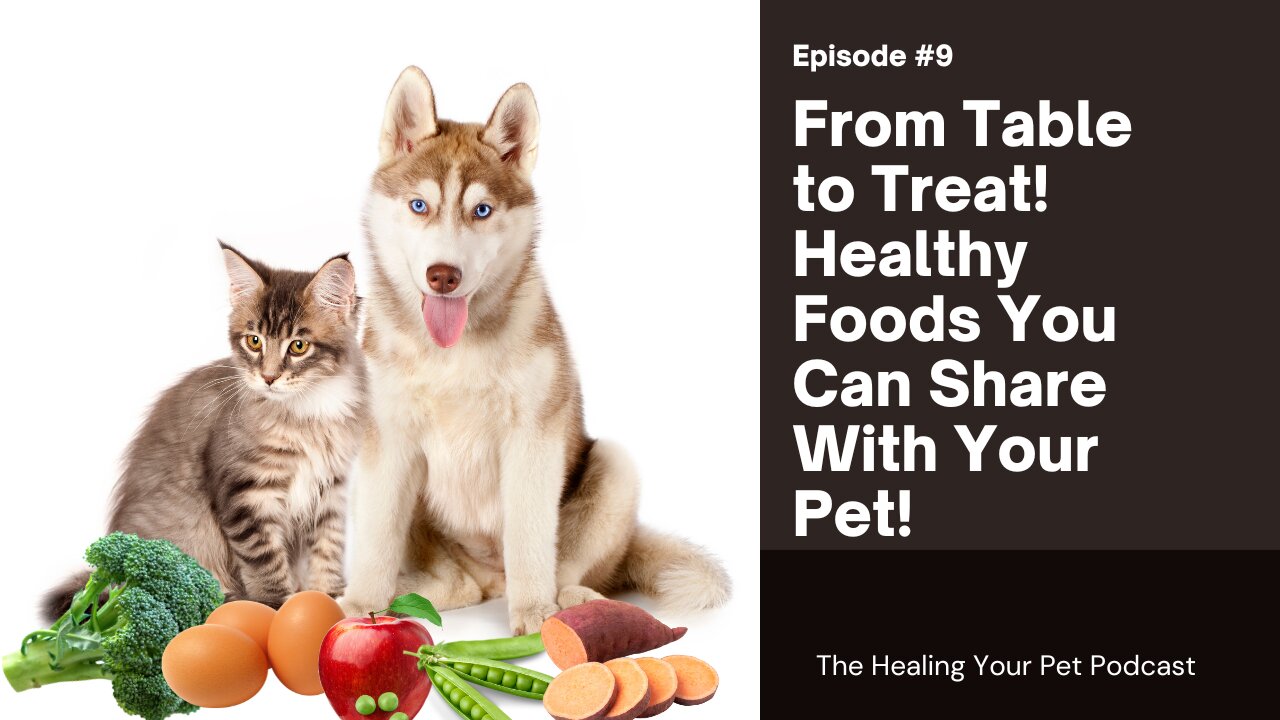 From Table to Treat: Healthy Foods You Can Share with Your Pet!