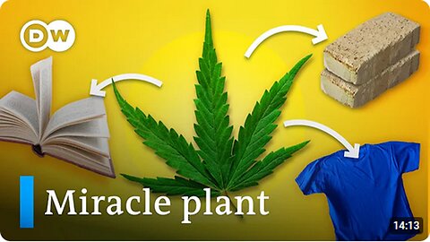 Why outlawing hemp was a huge mistake