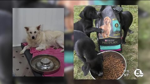 Geauga Mama Dogs and Pups asks for donations