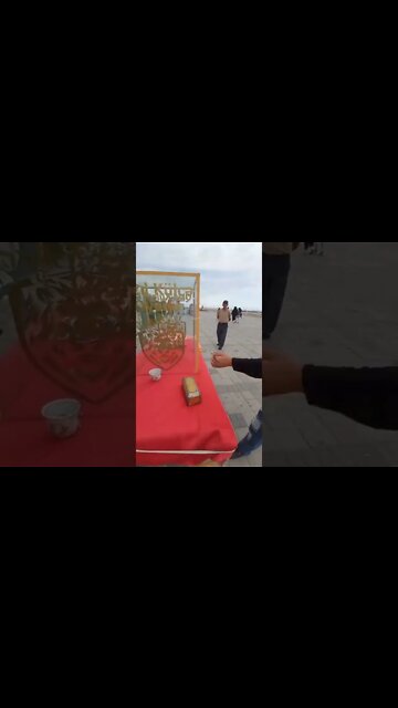 #shorts #2022 funny,prank,funjokes,dad jokes,funny memes,funny video,fun,laughing,funny animal,knock