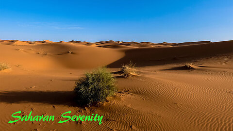 Saharan Serenity: A musical journey through the desert sands