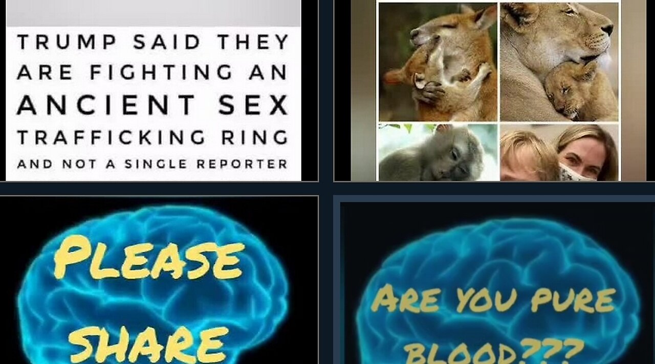 ARE YOU PURE BLOOD??? - WAR FOR YOUR MIND - Episode 186 with HonestWalterWhite