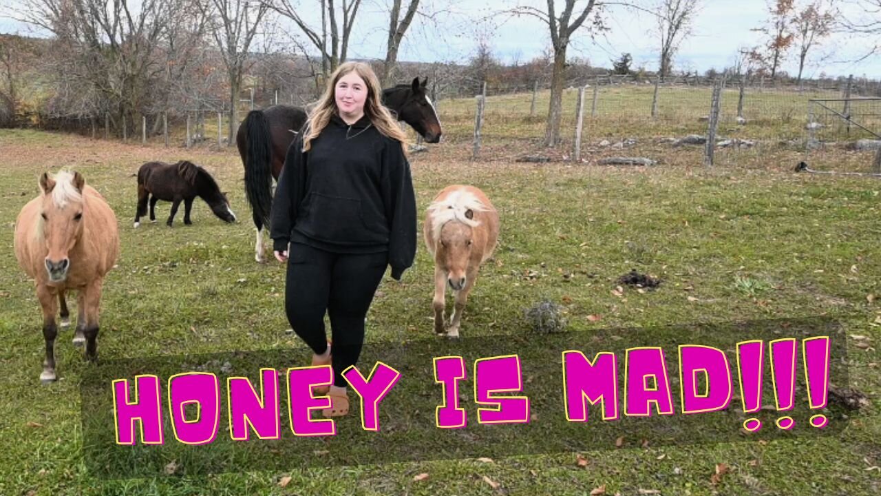 You Won't Believe Why Honey Is Mad Now!