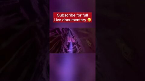 Ruby Falls - Deepest underground waterfalls in the United States 🇺🇸#shorts #waterfalls