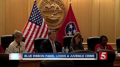 Blue Ribbon Panel Looks At State's Juvenile Justice System, Juvenile Crime