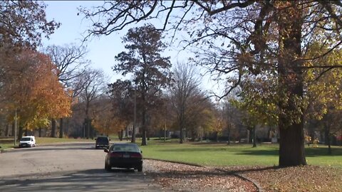 People push for pedestrianizing Humboldt Park after 2 women and a baby are hit by drivers