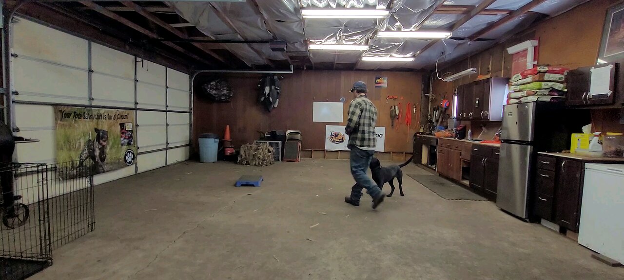 his down is getting really good