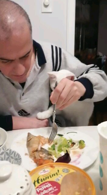 Trying to have lunch 😁😔😁