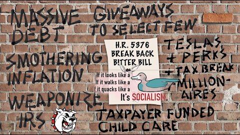 Democrats Push Bridge to Socialism