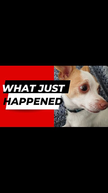 Why is Penny concerned?