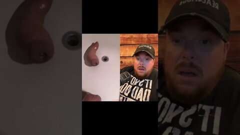 Here’s Your Dose Of REALarious…😳😳😳