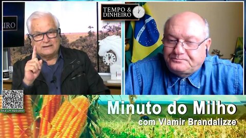 Milho mostrando colheita avançando no Brasil
