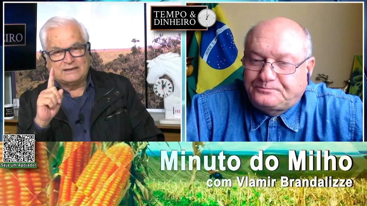 Milho mostrando colheita avançando no Brasil