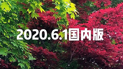 6月01(国内版)最新波爆(开-悟-堂)