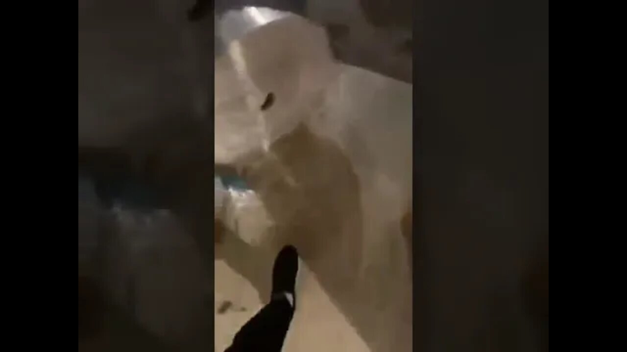ماسک خوشکل دارم براتون😁