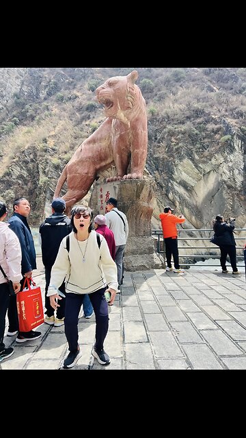 Video 3/3 San Francisco Superior Court Judge Julie Tang (retired) hello from China