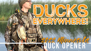 Duck Hunting Opener Minnesota 2022 - LIMITS OF DUCKS!