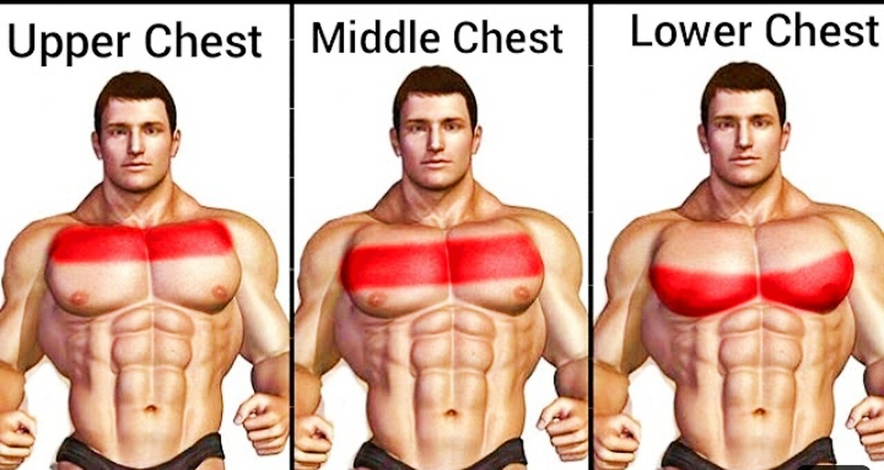 Chest workout