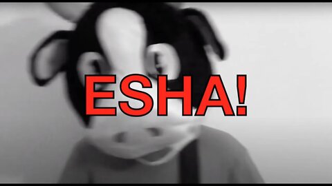 Happy Birthday ESHA! - COW Happy Birthday Song