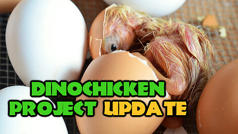 Chickenosaur is IMMINENT | Dinosaur Chicken Project Update