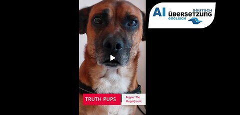 TRUTH PUPS: Informationen von Renard