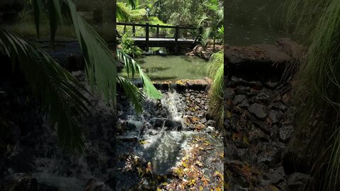 Gold Coast Regional Botanic Gardens