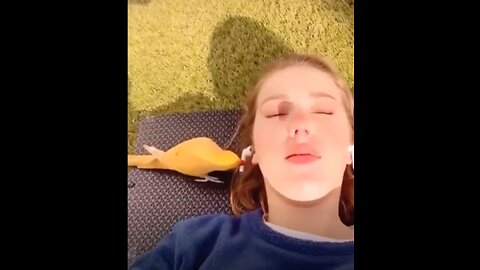 A parrot steal this girl's Airpods