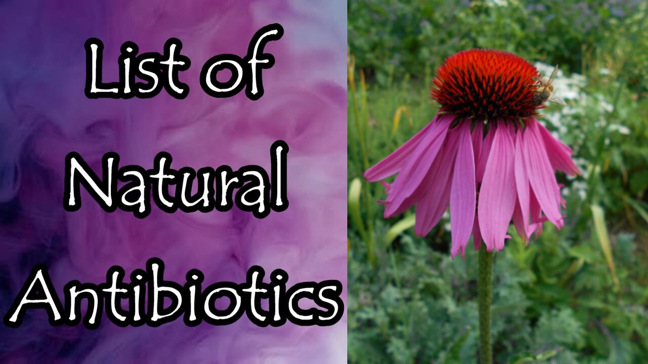 List of Natural Antibiotics