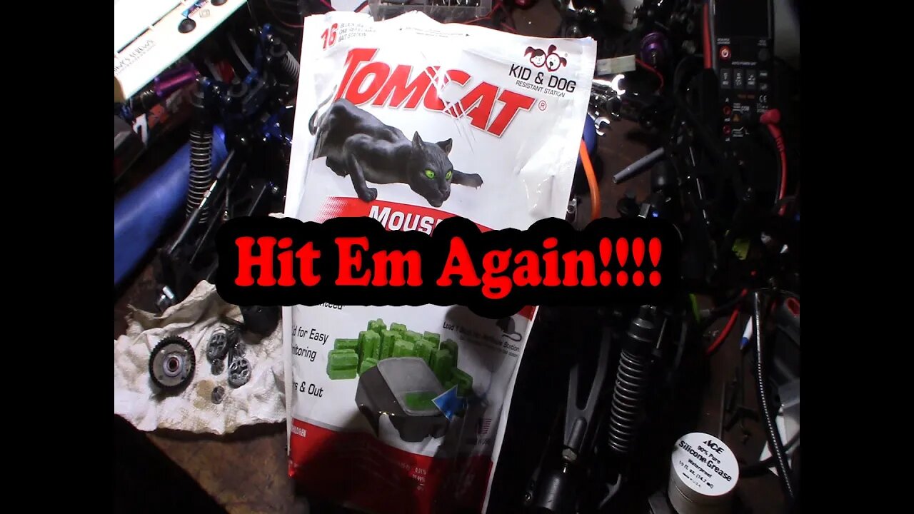 Tomcat Mouse And Rat killer outdoor massacre (Just Kidding) works every time!!!! bait