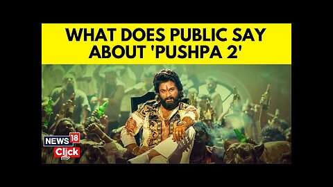 How Are The People Reacting To Pushpa 2: The Rule | Allu Arjun | Rashmika Mandana | English News