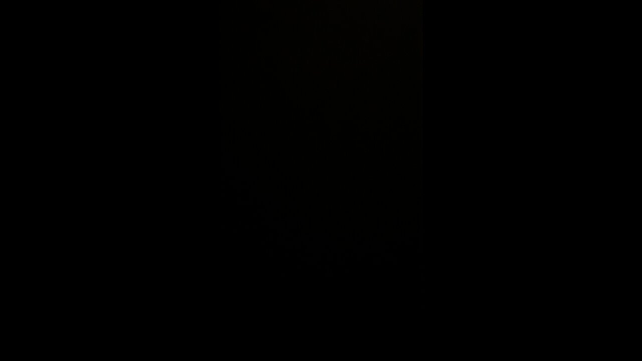 Invasion of the United States