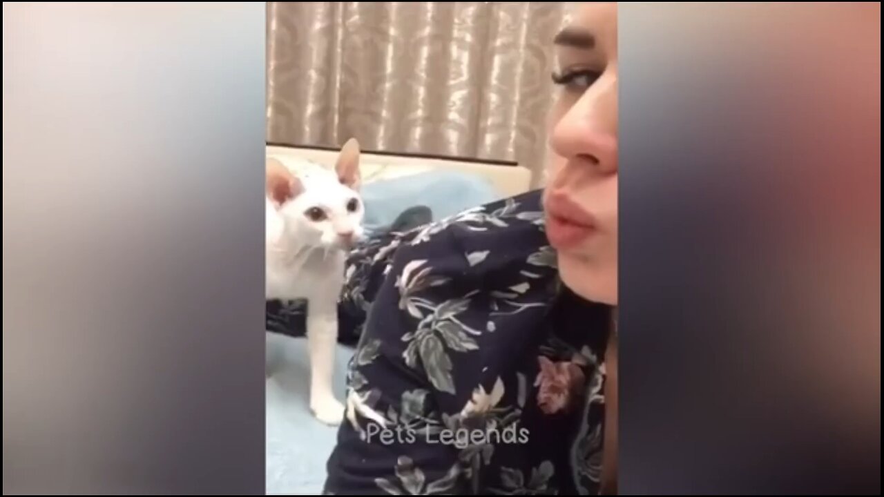 funny video