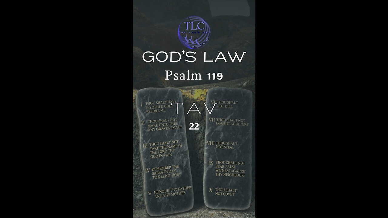 GOD'S LAW - Psalm 119 - 22 - A prayer for understanding #shorts