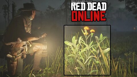 RDR2 Online 🍁 BloodFlower