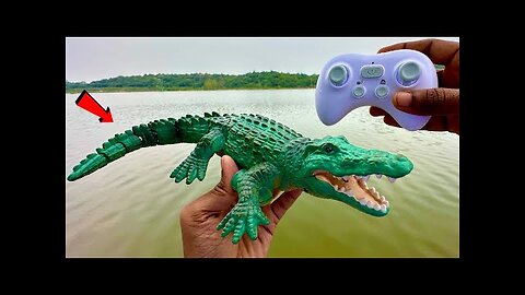 RC Realistic Swimming Crocodile Unboxing & testing