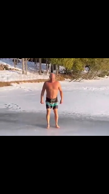 Polar Bear Plunge Fail! #FunnyVideos
